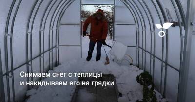 Снимаем снег с теплицы и накидываем его на грядки - botanichka.ru