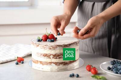 10 простых рецептов тортов, с которыми справится даже новичок - ogorod.ru