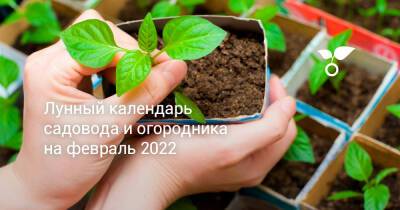 Лунный календарь садовода и огородника на февраль 2022 - botanichka.ru