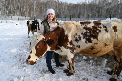 Зачем горожане заводят коров? Опыт одной семьи из Екатеринбурга - oblgazeta.ru - Екатеринбург