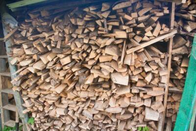 Как заложить дрова в печь, чтобы не дымились и дали максимум тепла: должен знать каждый дачник - belnovosti.by
