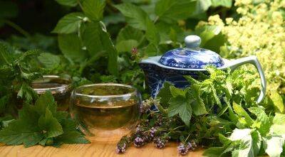 Травяной чай - 10 рецептов для самостоятельного изготовления полезных сборов - supersadovnik.ru