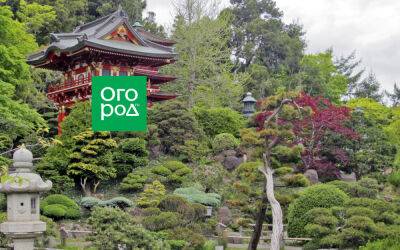 10 традиционных растений для японского сада - ogorod.ru - Япония
