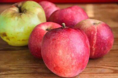 Как сохранить яблоки до весны целыми и невредимыми: проверенный способ - belnovosti.by