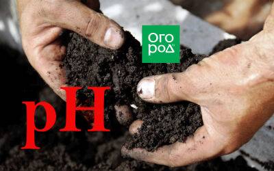 6 фактов, которые вы должны знать о кислотности почвы - ogorod.ru