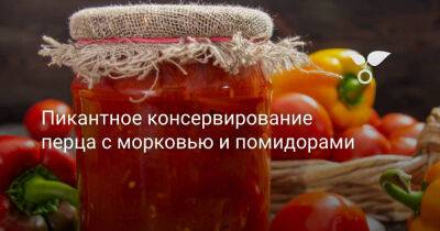 Пикантное консервирование перца с морковью и помидорами - botanichka.ru