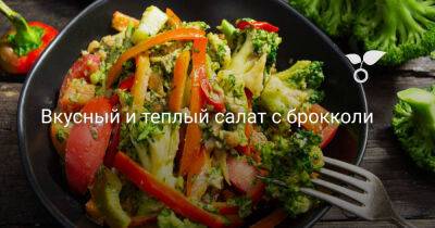 Вкусный и теплый салат с брокколи - botanichka.ru - Чили