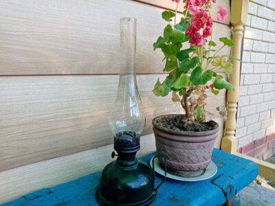 Как приготовить аналог дождевой воды для полива комнатных растений: хитрость опытных цветоводов - belnovosti.by