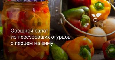 Овощной салат из перезревших огурцов с перцем на зиму - botanichka.ru
