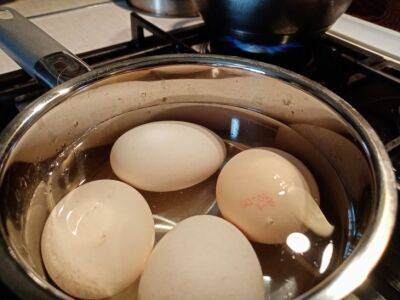 Почему никогда не стоит выливать воду, в которой варились яйца: полезное применение жидкости - belnovosti.by
