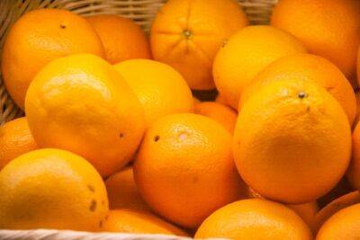Зачем закапывать апельсиновые корки на грядке: хитрость опытных огородников - belnovosti.by