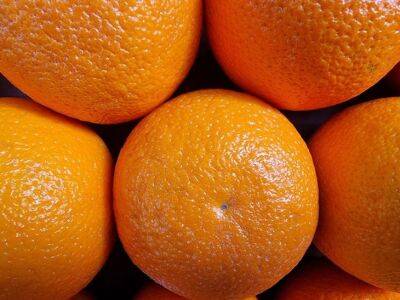 Зачем опытные дачники не выбрасывают, а заготавливают корки апельсинов: нужно знать - belnovosti.by