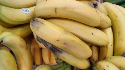 Как оздоровить растения с помощью банановой шкурки: 2 способа - belnovosti.by