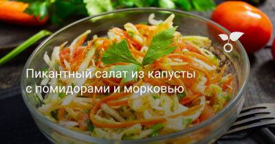 Пикантный салат из капусты с помидорами и морковью - botanichka.ru