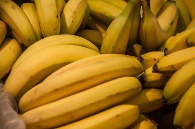 Как приготовить удобрение из банановой кожуры: дачники ошибаются и получают бесполезную подкормку - belnovosti.by