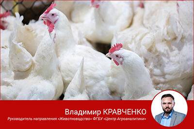 Владимир Кравченко - Россия наращивает объемы производства мяса птицы - rynok-apk.ru - Китай - Россия - Сша - Бразилия