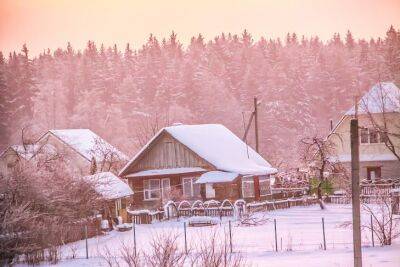 Зачем посыпать снег золой в самом конце зимы: лайфхак от опытных огородников - belnovosti.by