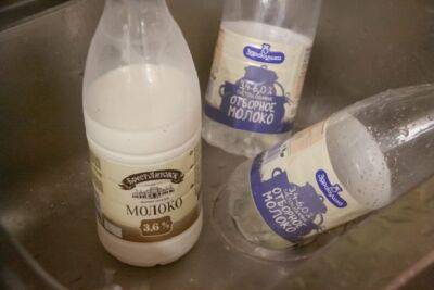 Зачем опытные дачники поливают рассаду обычным молоком - belnovosti.by