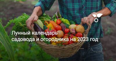 Лунный календарь садовода и огородника на 2023 год - botanichka.ru