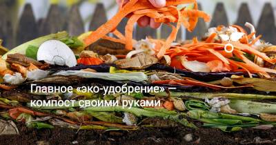Главное «эко-удобрение» — компост своими руками - botanichka.ru