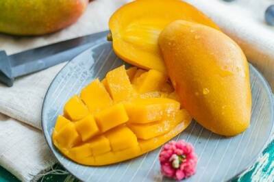 Как вырастить манго из косточки? - aif.ru - Россия