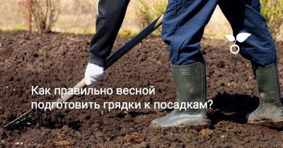 Как правильно весной подготовить грядки к посадкам? - botanichka.ru