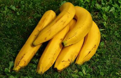Марин Михалап - Как приготовить универсальную подкормку на основе банановой кожуры: поможет заменить дорогие удобрения - belnovosti.by