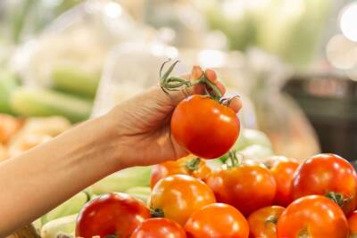 Помидоры, как в магазине: как правильно сеять семена из купленных томатов - ogorod.ru