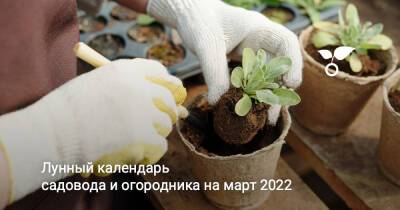 Лунный календарь садовода и огородника на март 2022 - botanichka.ru