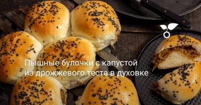 Пышные булочки с капустой из дрожжевого теста в духовке - botanichka.ru