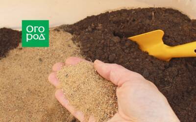 Зачем вносить песок в грунт для рассады? - ogorod.ru