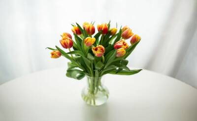 Светлана Протас - Что добавить в вазу, чтобы цветы стояли 2-3 недели как свежие - belnovosti.by