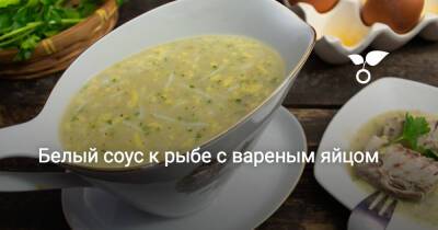 Белый соус к рыбе с вареным яйцом - botanichka.ru