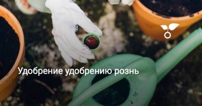 Удобрение удобрению рознь - botanichka.ru