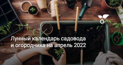 Лунный календарь садовода и огородника на апрель 2022 - botanichka.ru