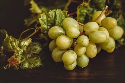 Елен Гутыро - 4 причины, почему трескаются и лопаются ягоды винограда: как не остаться без урожая - belnovosti.by