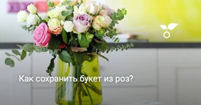 Как сохранить букет из роз? - botanichka.ru