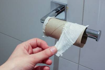 Антон Курчев - Не выбрасывайте втулку от туалетной бумаги: она пригодится при выращивании рассады - belnovosti.by
