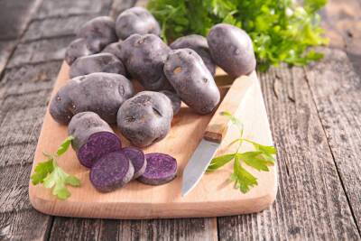 Цветной картофель – сорта с фиолетовой, синей и красной мякотью - ogorod.ru - г. Виноград