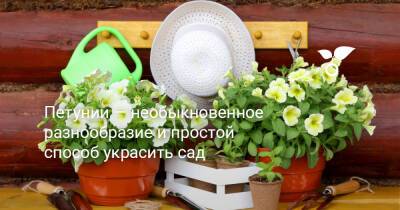 Петунии — необыкновенное разнообразие и простой способ украсить сад - botanichka.ru