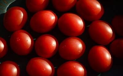 Светлана Протас - 3 секрета дачников, чтобы тепличные томаты были на вкус сладкими как мёд - belnovosti.by