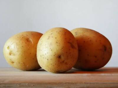 Елен Гутыро - 2 способа вырастить картофель, не копаясь в огороде: интересно узнать и воспользоваться - belnovosti.by