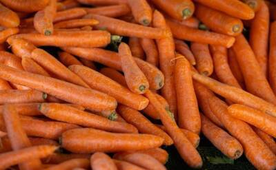 Светлана Протас - Почему морковь вырастает бледной и несладкой: как это исправить - belnovosti.by