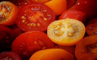 Светлана Протас - 2 сорта томатов, которые опаздывающие огородники могут посеять на рассаду в конце апреля - belnovosti.by
