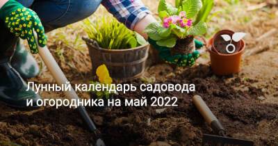 Лунный календарь садовода и огородника на май 2022 - botanichka.ru