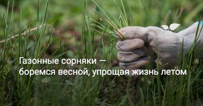 Газонные сорняки — боремся весной, упрощая жизнь летом - botanichka.ru