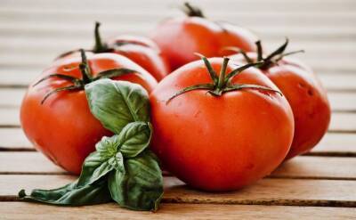 Светлана Протас - 5 досадных ошибок опытных дачников, если томаты ни в какую не хотят плодоносить в теплице - belnovosti.by