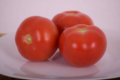 Сорт томатов, от которых невозможно отказаться: вырастают сладкие, как мед - belnovosti.by