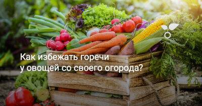 Как избежать горечи у овощей со своего огорода? - botanichka.ru
