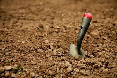 Елен Гутыро - 1 ложка копеечного удобрения даже песок превратит в плодородную почву: урожаем завалит с головы до ног - belnovosti.by